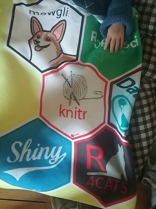 knitr logo on blanket