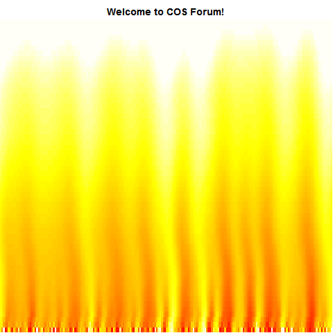 Simulation of Burning Fire in R