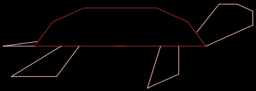 A turtle drawn in R